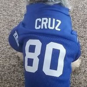 Meet your Posher, Judy